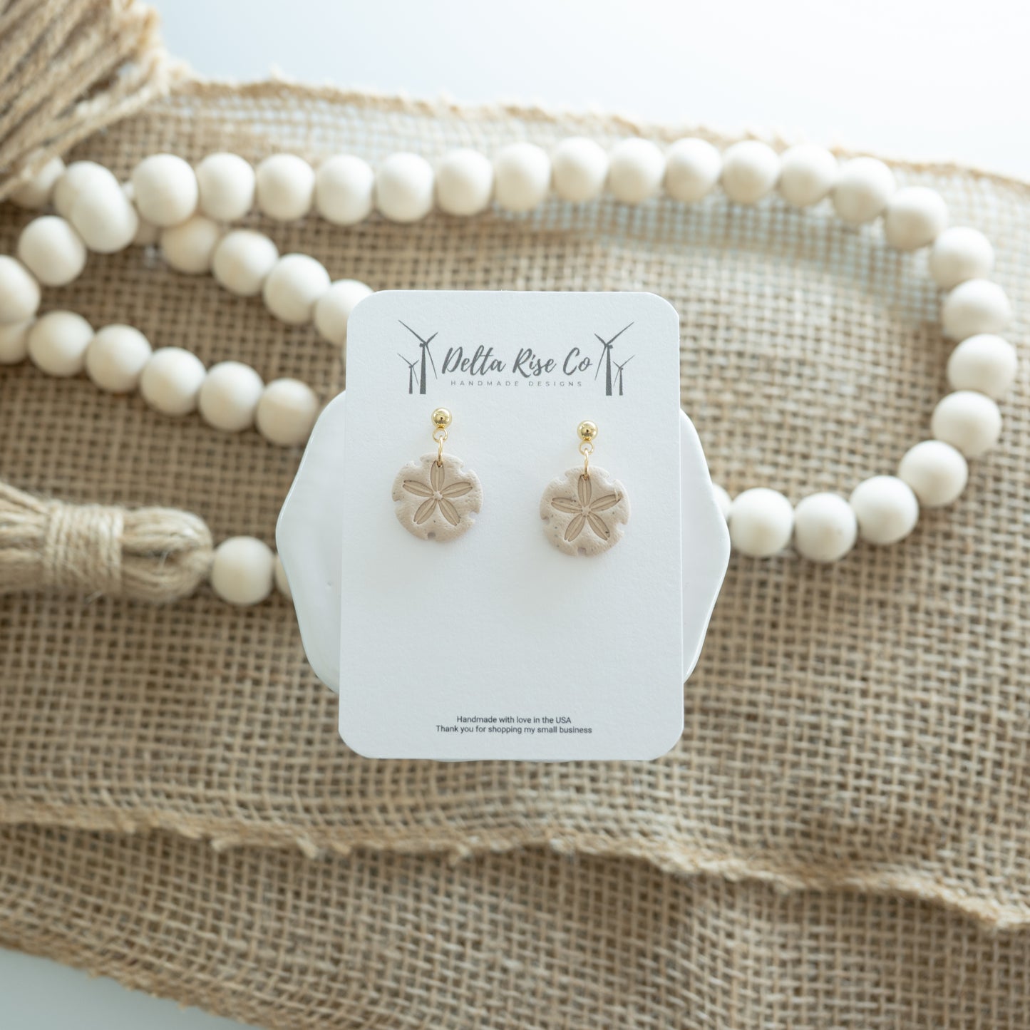 Small Sand Dollar