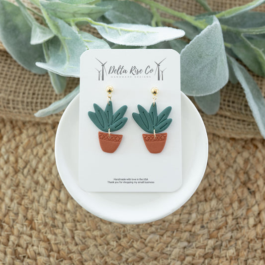 Terracotta Potted Plant