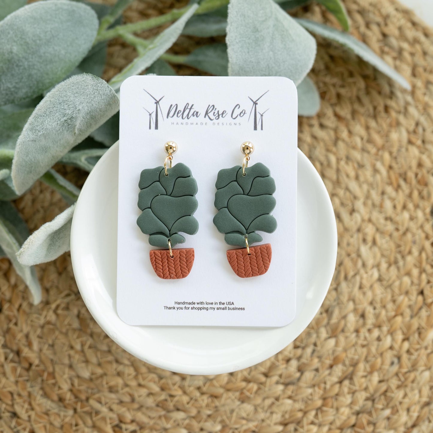 Boho Houseplants