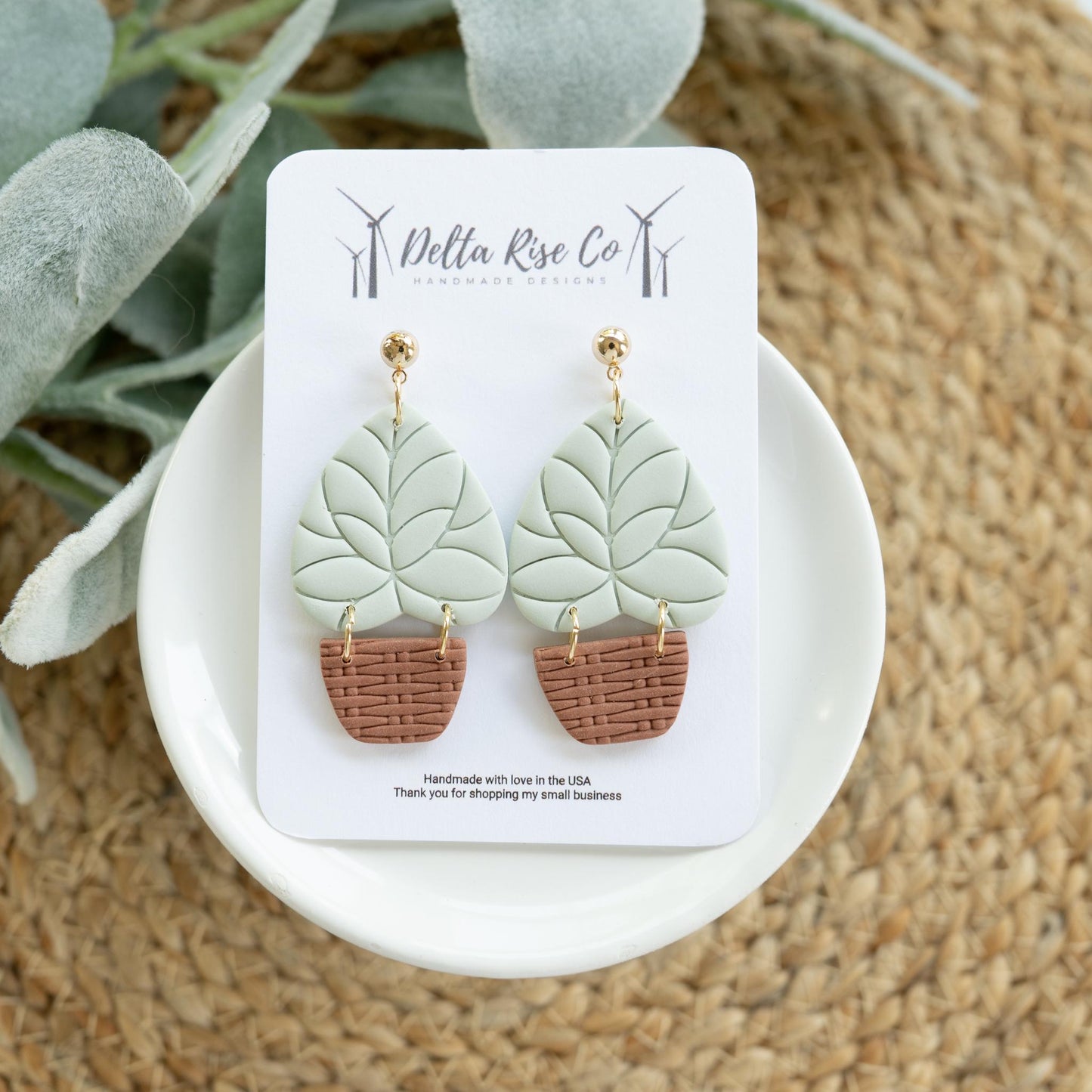 Boho Houseplants