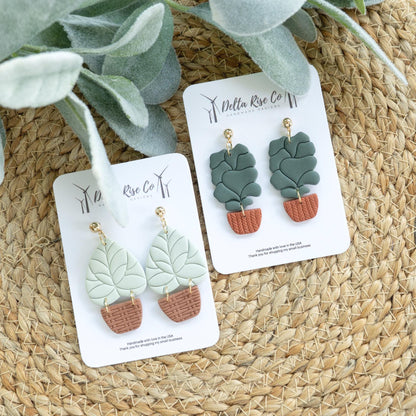 Boho Houseplants